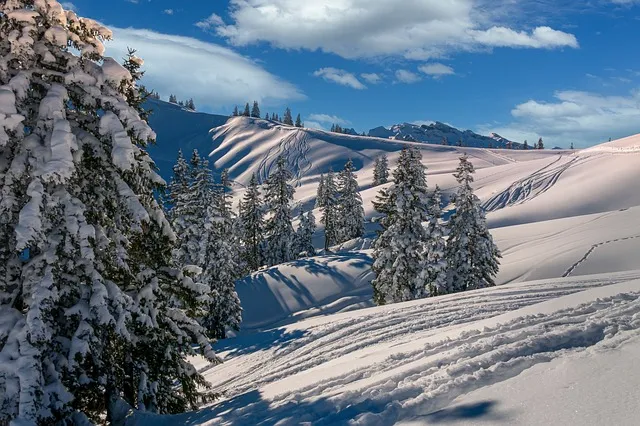 winter-4680713_640